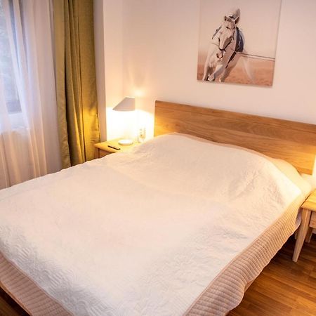 Classic Apartment Near The City Center Kaloşvar Dış mekan fotoğraf