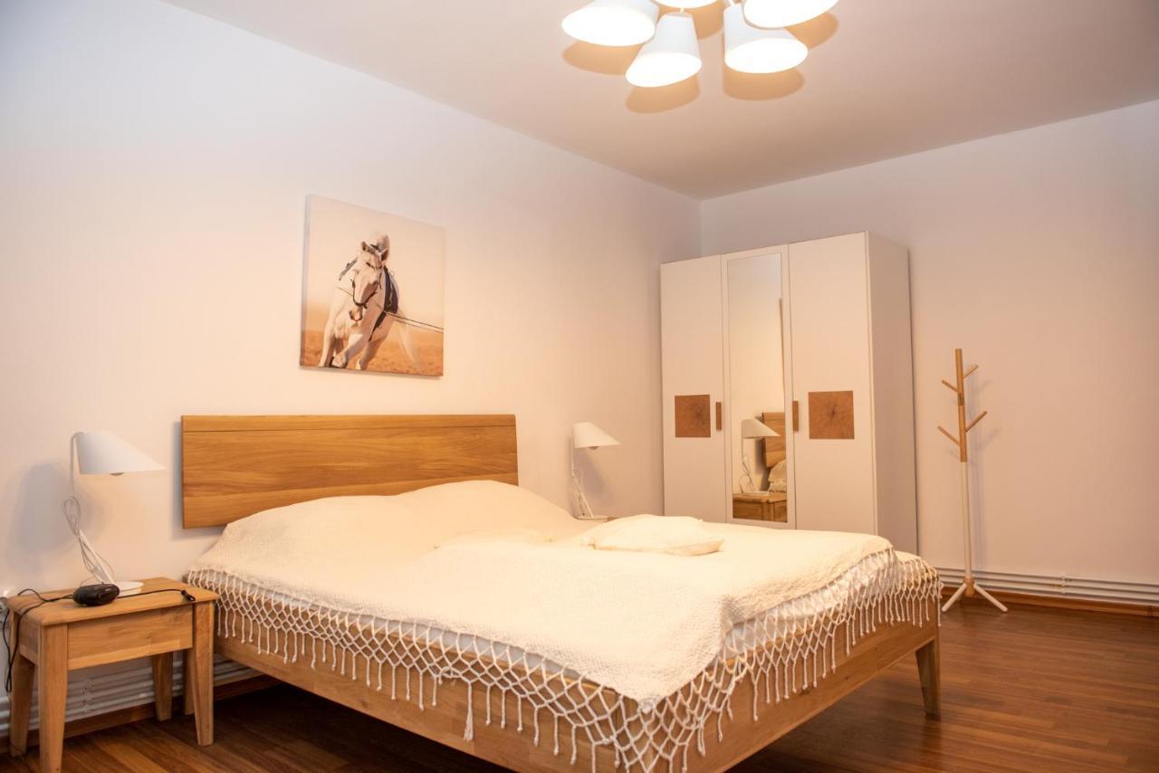 Classic Apartment Near The City Center Kaloşvar Dış mekan fotoğraf