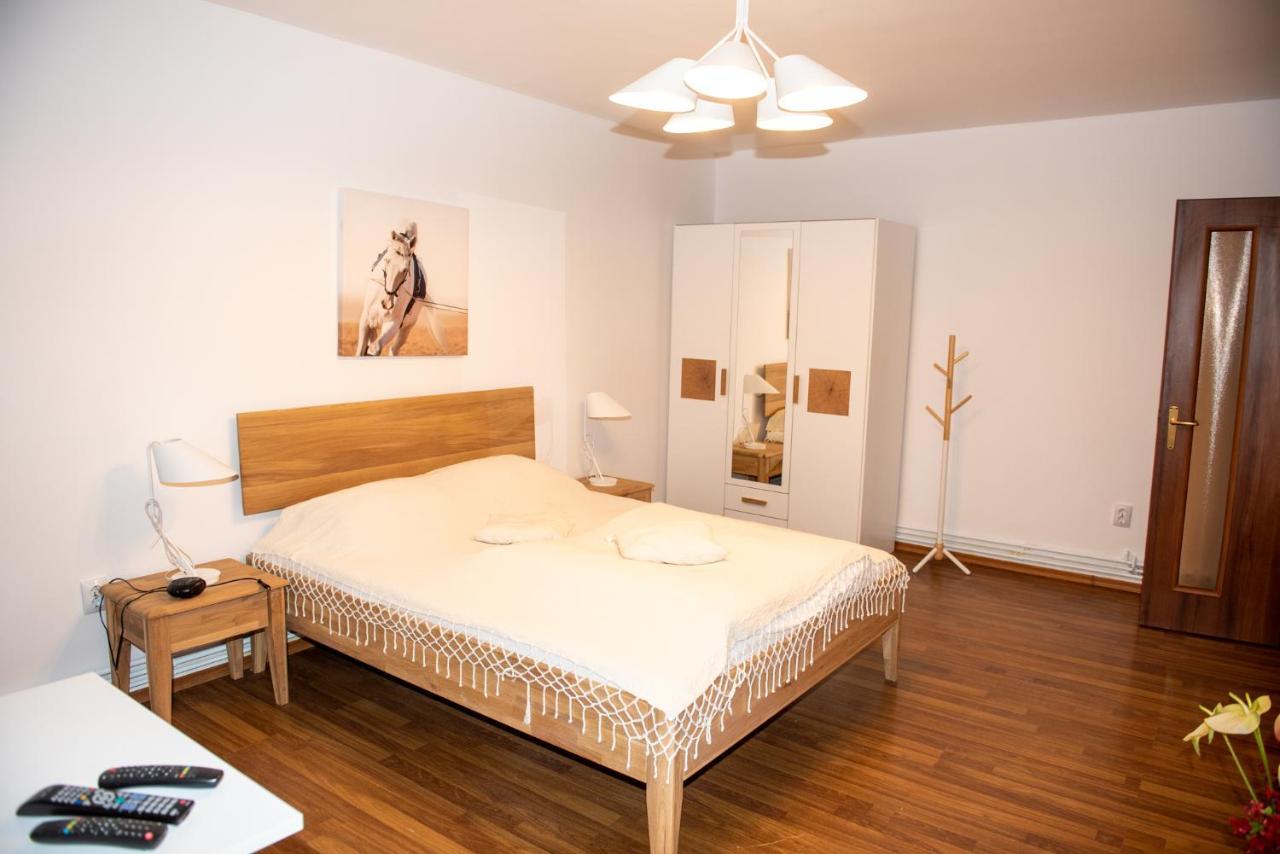 Classic Apartment Near The City Center Kaloşvar Dış mekan fotoğraf